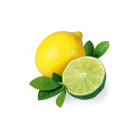 Sentiotec Saunaduft Citrus Limone 100 ml Flasche