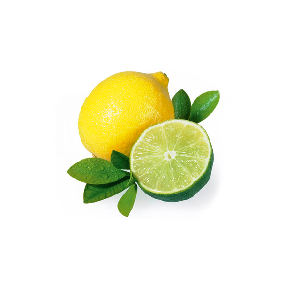 Sentiotec Saunaduft Citrus Limone 1000 ml Flasche