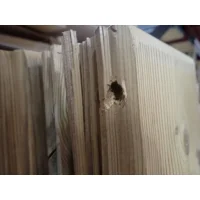 Saunakabine "Luva R" mit Eckeinstieg und Aufgussautomatik (Ausstellungsst&uuml;ck)