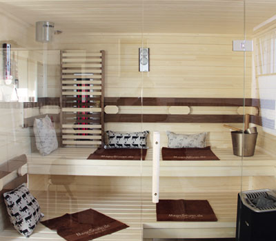 all-in-sauna.jpg